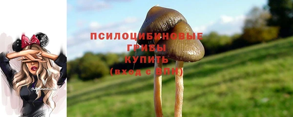 MDMA Алексин