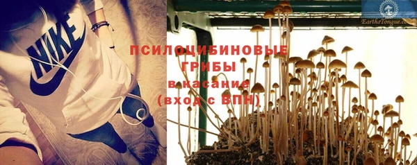 прущая мука Алзамай
