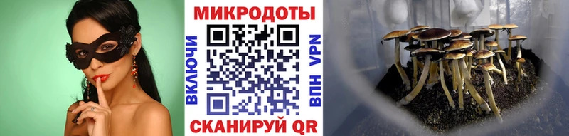 Галлюциногенные грибы мицелий  Жиздра 